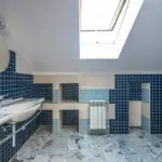 Bathroom Paint