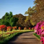 Gardening