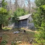 Shed Base